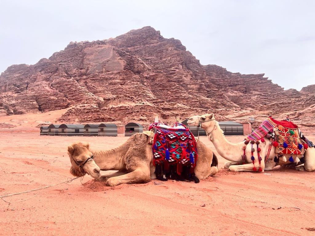 Wadi Rum Sky Tours & Camp מראה חיצוני תמונה
